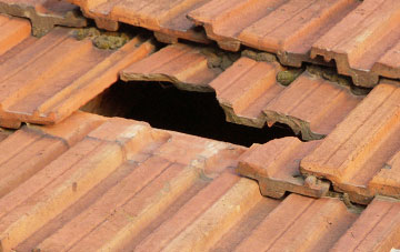 roof repair Badnaban, Highland