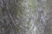 Badnaban fibreglass roof work